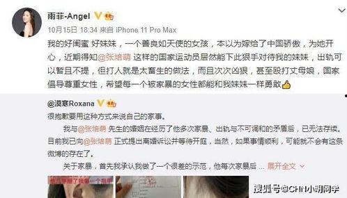 东北闺蜜爆料视频大全集,揭秘生活趣事与真挚情感