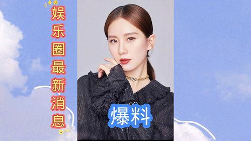 娱乐圈最近爆料离婚,明星夫妻纷纷离婚，揭秘背后的真相与原因