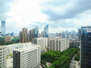 深圳办公楼爆料视频,揭秘职场真实一面