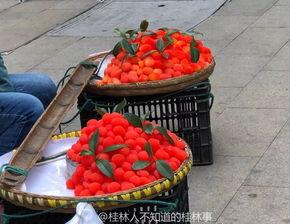 网红水果爆料视频大全,揭秘热门水果视频大全