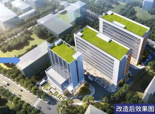 东莞谢岗爆料事件视频