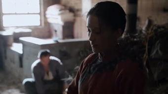 白鹿原在线观看完整版免费,穿越历史的长河，探寻家族兴衰之谜