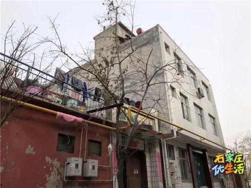 石家庄48中最新爆料事件,校园事件引发社会关注