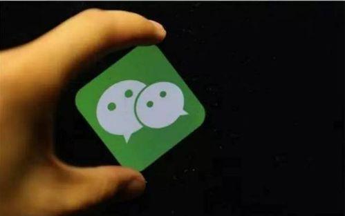 八卦网红吃瓜小程序下载,揭秘娱乐圈幕后故事