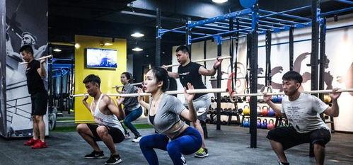 麦蔻爆料健身房视频,健身器材使用技巧与运动误区