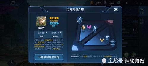 王者阿茶爆料视频,揭秘游戏幕后精彩瞬间