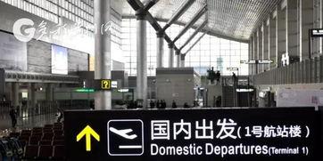 龙洞堡机场爆料事件视频,揭秘机场内部惊人真相