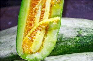 合租网红吃瓜,揭秘娱乐圈背后的真实生活