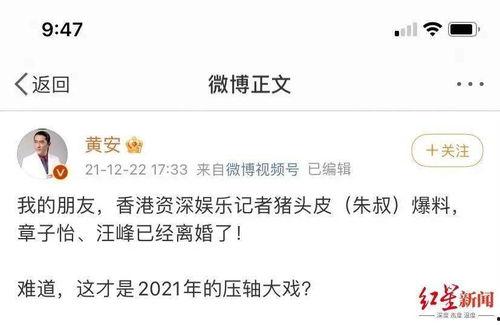 红星新闻爆料后怎么查