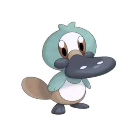 精灵宝可梦无印最新爆料,最新爆料揭秘神秘新篇章